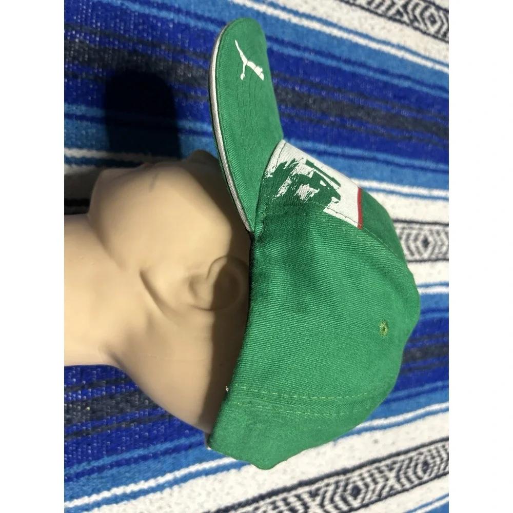 Puma se palmeiras